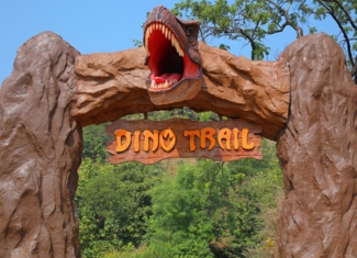 Dino Trail